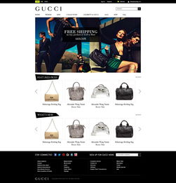 歐美外貿(mào)在線電子商務網(wǎng)站設計