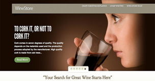 20個簡約的電子商務網(wǎng)站設計