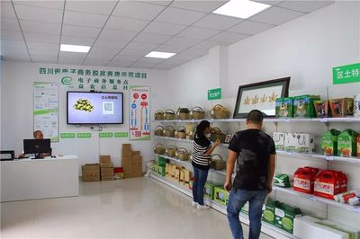 恩陽葡萄香飄萬里 農村電商破解200萬斤銷售難題